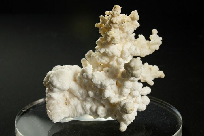 Intricate, Fluorescent Aragonite Formation - Nevada #327484